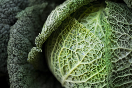 A close up photo of a head of cabbage.